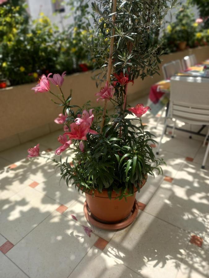 Apartments Gazi أولتْسي المظهر الخارجي الصورة