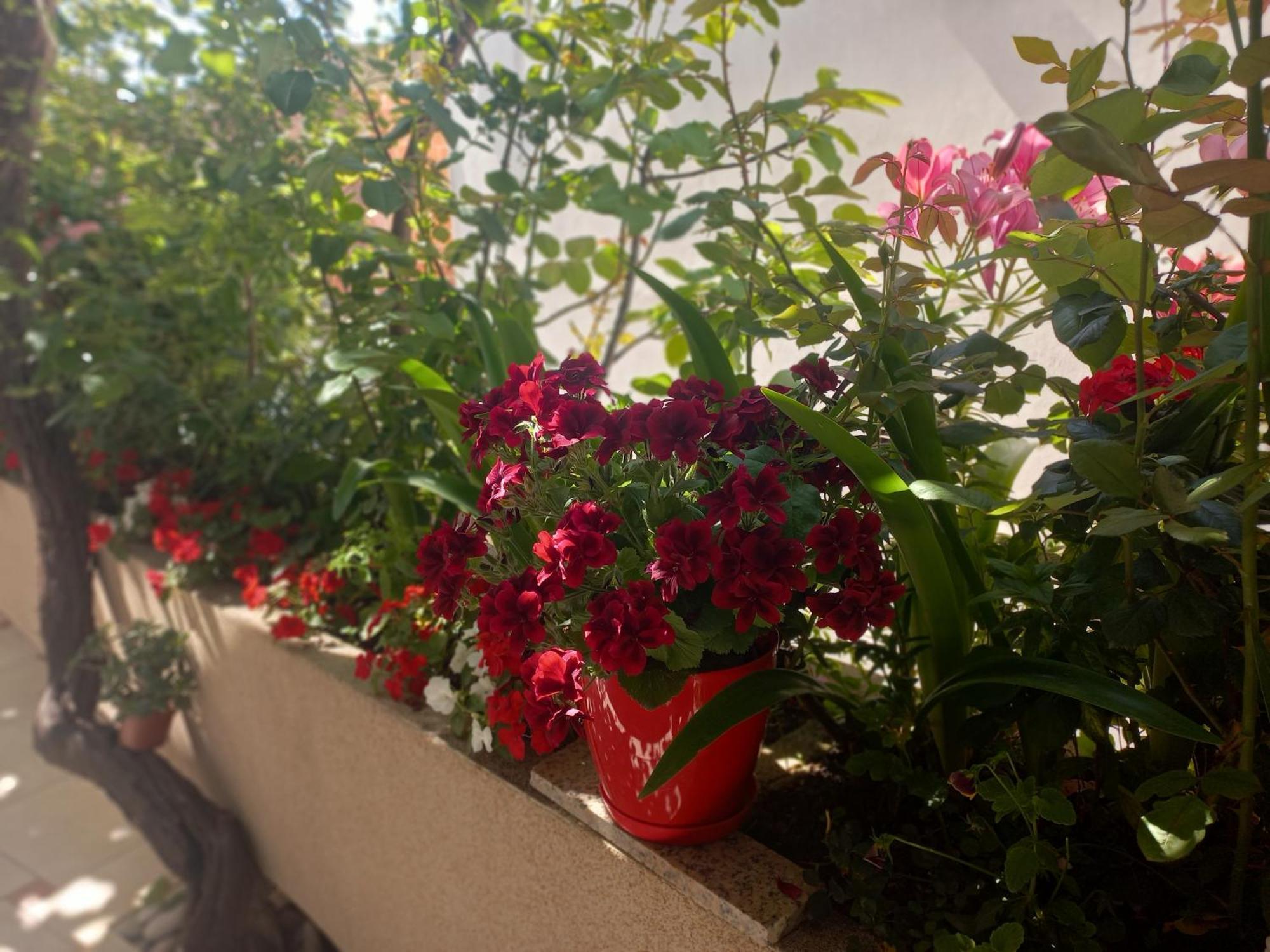 Apartments Gazi أولتْسي المظهر الخارجي الصورة