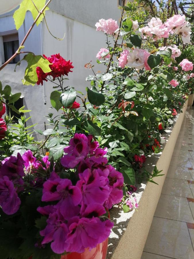 Apartments Gazi أولتْسي المظهر الخارجي الصورة